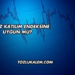 Ahgaz Katılım Endeksine Uygun mu?