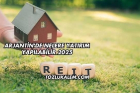 Arjantin'de Nelere Yatırım Yapılabilir 2025