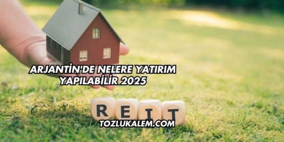 Arjantin’de Nelere Yatırım Yapılabilir 2025