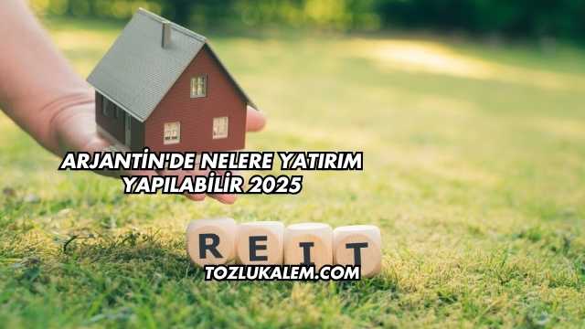 Arjantin'de Nelere Yatırım Yapılabilir 2025