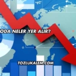 Bilançoda Neler Yer Alır?