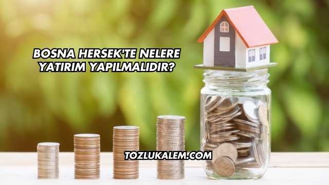 Bosna Hersek'te Nelere Yatırım Yapılmalıdır?