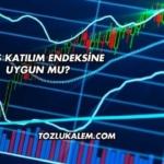 Cates Katılım Endeksine Uygun mu?