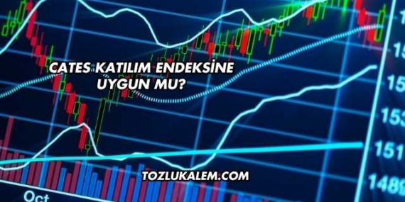 Cates Katılım Endeksine Uygun mu?