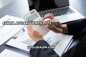 Çekya Asgari Ücret 2025
