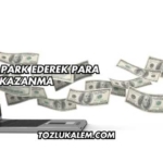 Domain Park Ederek Para Kazanma
