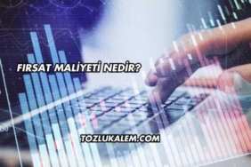 Fırsat Maliyeti Nedir?