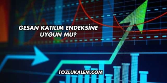 GESAN Katılım Endeksine Uygun mu?