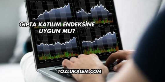Gıpta Katılım Endeksine Uygun mu?