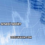 Hisse Senedi Nedir?