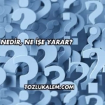Laiklik Nedir, Ne İşe Yarar?