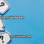 Milliyetçilik Nedir