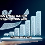 Mogan Enerji Katılım Endeksine Uygun mu?