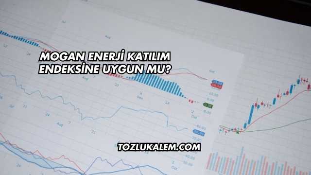 Mogan Enerji Katılım Endeksine Uygun mu?