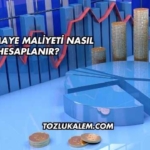 Özsermaye Maliyeti Nasıl Hesaplanır?