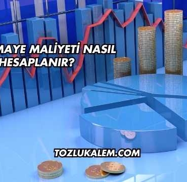 Özsermaye Maliyeti Nasıl Hesaplanır?