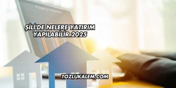 Şili’de Nelere Yatırım Yapılabilir 2025