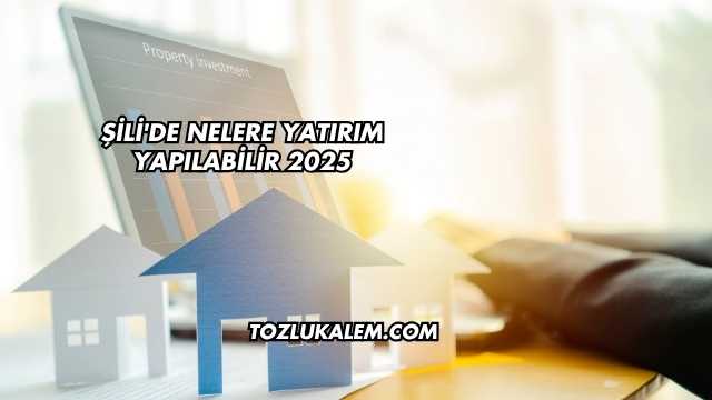 Şili'de Nelere Yatırım Yapılabilir 2025