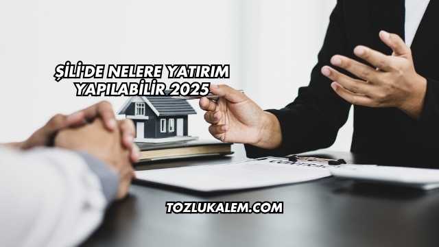 Şili'de Nelere Yatırım Yapılabilir 2025
