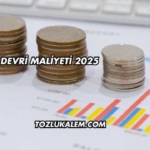 Şirket Devri Maliyeti 2025