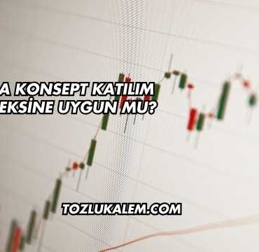 Vera Konsept Katılım Endeksine Uygun mu?
