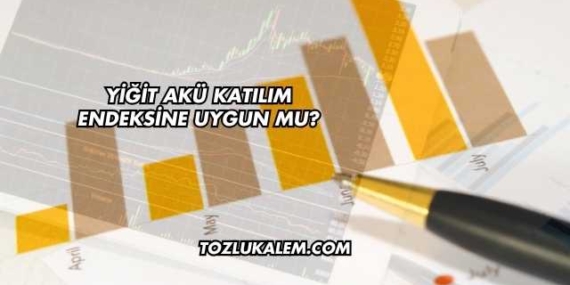 Yiğit Akü Katılım Endeksine Uygun mu?