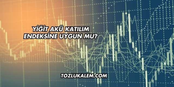 Yiğit Akü Katılım Endeksine Uygun mu?
