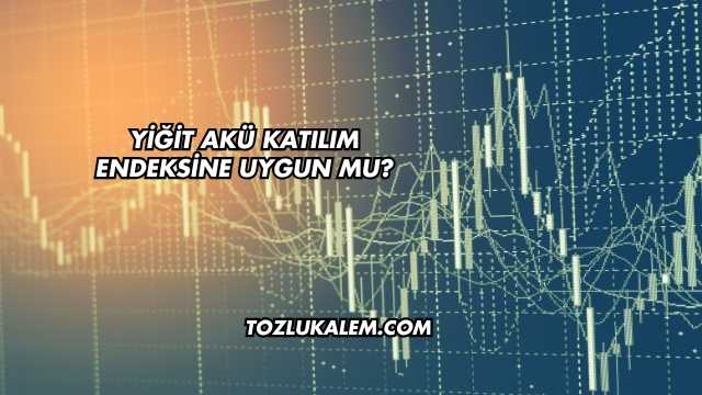 Yiğit Akü Katılım Endeksine Uygun mu?