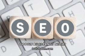 Google Bilgi Paneli Nedir?