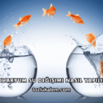 Akvaryum Su Değişimi Nasıl Yapılır?