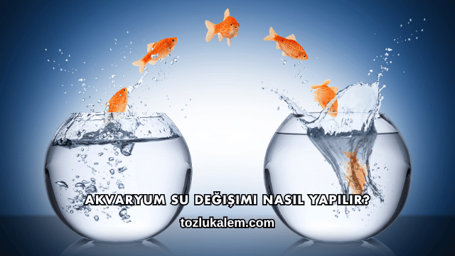 Akvaryum Su Değişimi Nasıl Yapılır?