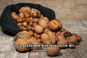 Ceviz Alzheimer Riskini Azaltır mı?