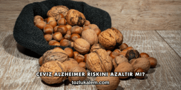 Ceviz Alzheimer Riskini Azaltır mı?