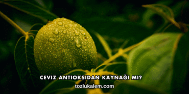 Ceviz Antioksidan Kaynağı mı?