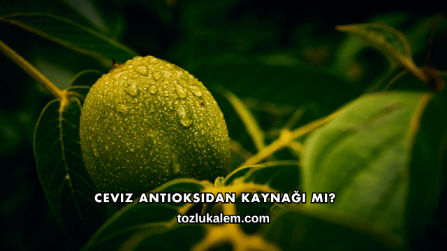 Ceviz Antioksidan Kaynağı mı?