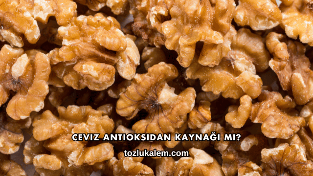 Ceviz Antioksidan Kaynağı mı?
