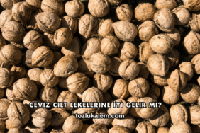 Ceviz Cilt Lekelerine İyi Gelir mi?