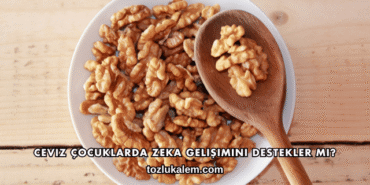 Ceviz Çocuklarda Zeka Gelişimini Destekler mi?