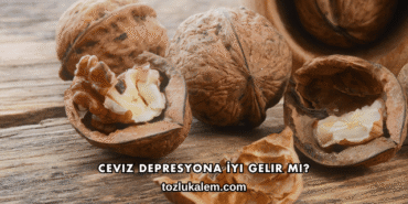 Ceviz Depresyona İyi Gelir mi?
