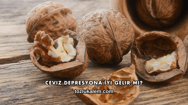 Ceviz Depresyona İyi Gelir mi?