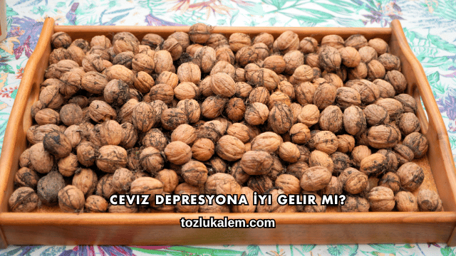 Ceviz Depresyona İyi Gelir mi?
