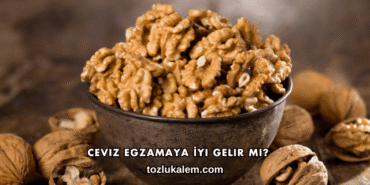 Ceviz Egzamaya İyi Gelir mi?