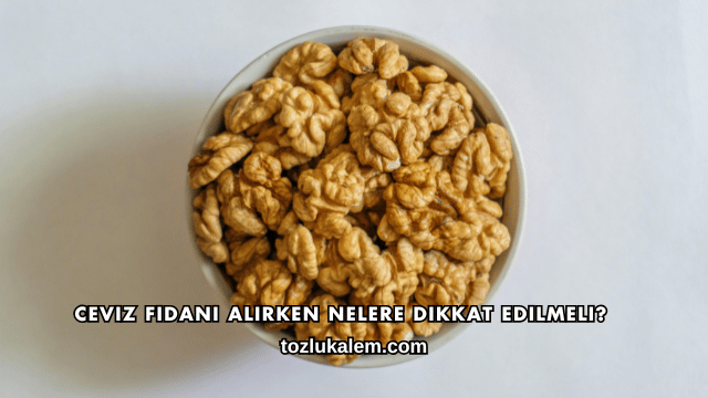 Ceviz Fidanı Alırken Nelere Dikkat Edilmeli?