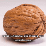 Ceviz Hormonları Etkiler mi?