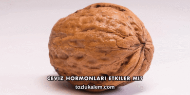 Ceviz Hormonları Etkiler mi?
