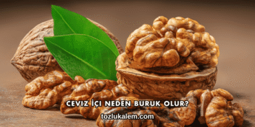 Ceviz İçi Neden Buruk Olur?