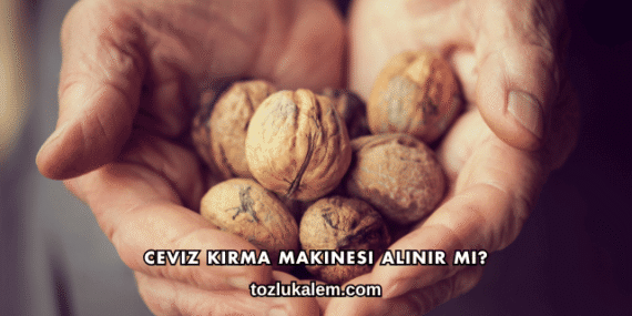 Ceviz Kırma Makinesi Alınır mı?