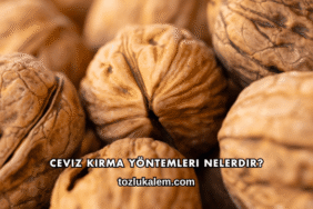 Ceviz Kırma Yöntemleri Nelerdir?