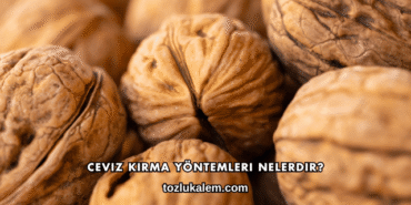 Ceviz Kırma Yöntemleri Nelerdir?