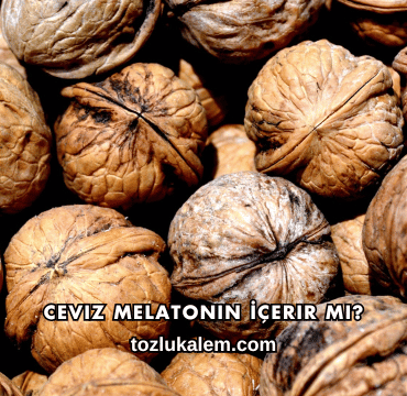 Ceviz Melatonin İçerir mi?